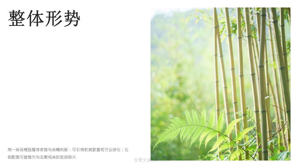 清新自然报告PPT模板